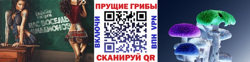 Галлюциногенные грибы Magic Shrooms  Тайшет 